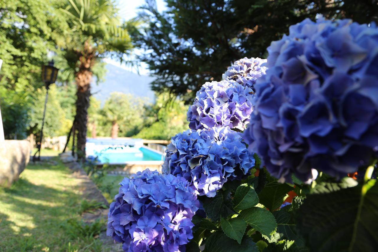 Casa Scerina Apartment Sementina Luaran gambar